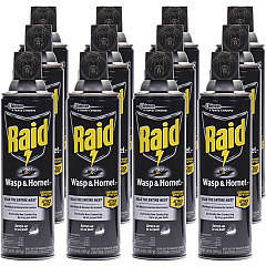 Raid Wasp and Hornet Killer 33 (377651)