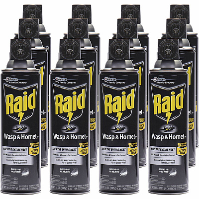 Raid Wasp and Hornet Killer 33 (377651)