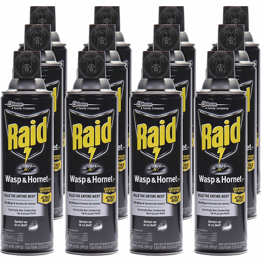 Raid Wasp and Hornet Killer 33 (377651)