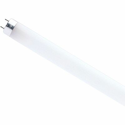 Satco 11 Watt LED T8 Bulb (S49936R1)