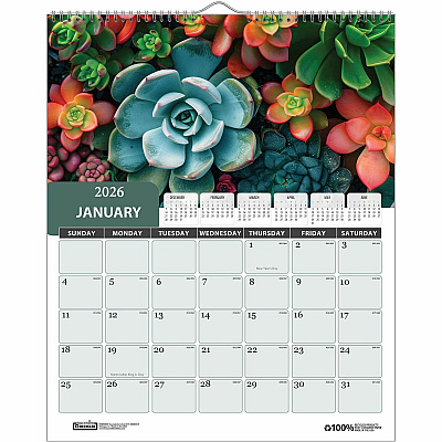 House of Doolittle Recycled Succulent & Cacti Wall Calendar (317)