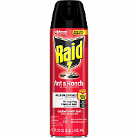 Raid Ant & Roach Killer Spray (386220)