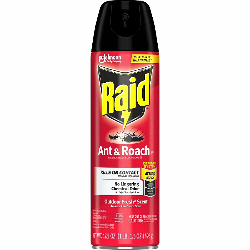 Raid Ant & Roach Killer Spray (386220)