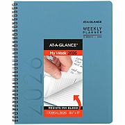 AT-A-GLANCE Contemporary Lite Planner (7095XL38)