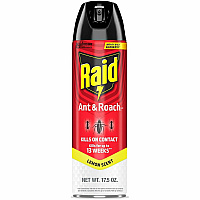 Raid Ant & Roach Killer Spray (386214)