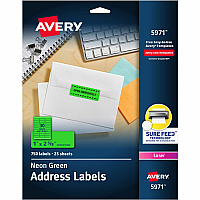 Avery Shipping Labels (AVE5971)