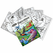 Crayola Bird Watching Coloring Book Printed Book (041133)
