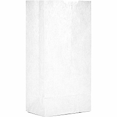 AJM Packaging Packaging Packaging AJM Packaging Packaging Paper Grocery Bags (WB04NP5C)