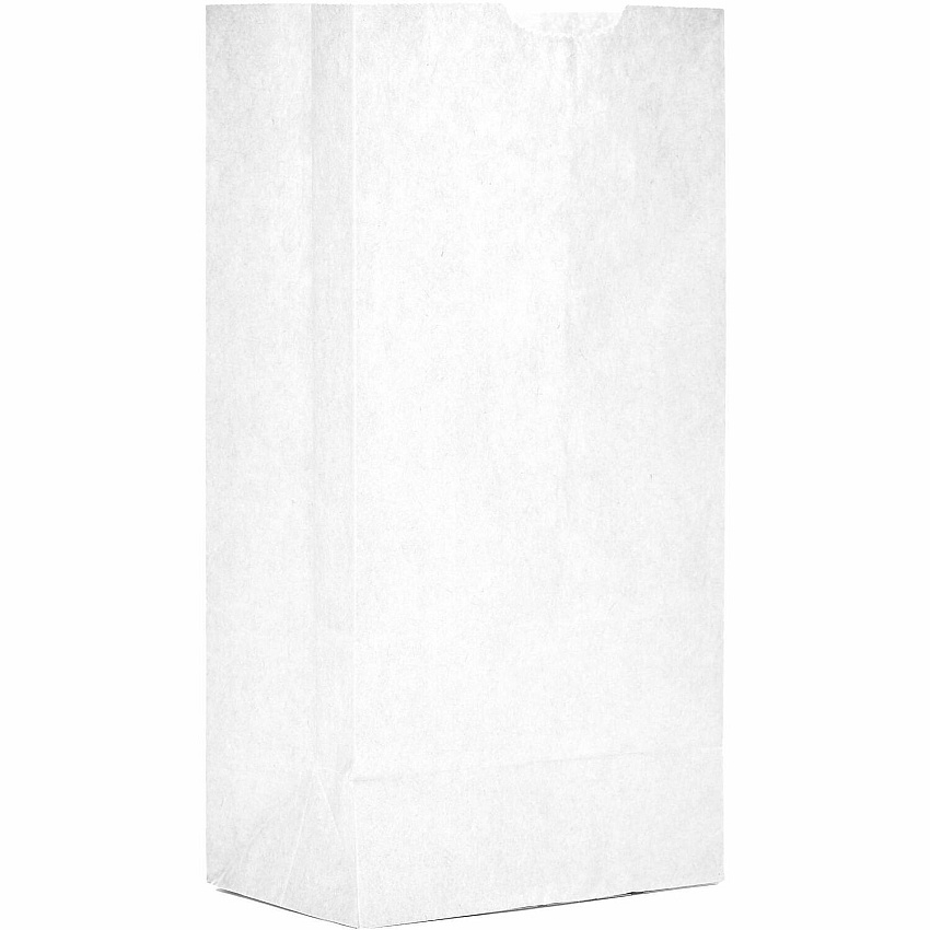 AJM Packaging Packaging Packaging AJM Packaging Packaging Paper Grocery Bags (WB04NP5C)
