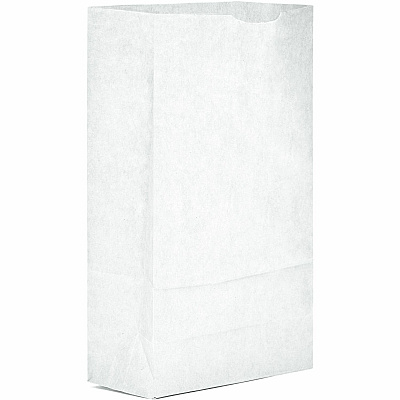 AJM Packaging Packaging Packaging AJM Packaging Packaging Paper Grocery Bags (WB06NP5C)