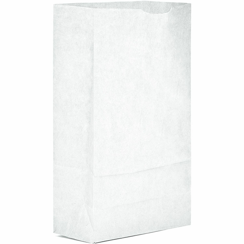 AJM Packaging Packaging Packaging AJM Packaging Packaging Paper Grocery Bags (WB06NP5C)