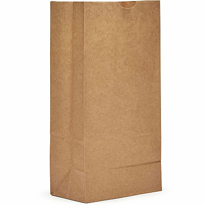 AJM Packaging Packaging Packaging AJM Packaging Packaging Paper Grocery Bags (GBN108G5CEH)