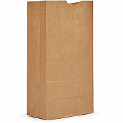 AJM Packaging Packaging Packaging AJM Packaging Packaging Paper Grocery Bags (GBN120G5CEHT)