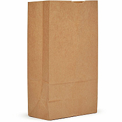 AJM Packaging Packaging Packaging AJM Packaging Packaging Paper Grocery Bags (GB12NP5C)