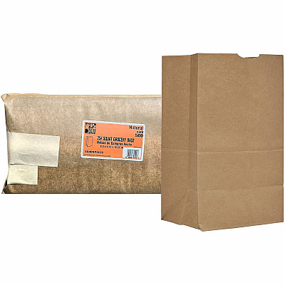 AJM Packaging Packaging Packaging AJM Packaging Packaging No. 25 Natural-Kraft Paper Bags (SQ40NP5C25)