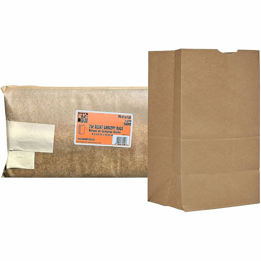 AJM Packaging Packaging Packaging AJM Packaging Packaging No. 25 Natural-Kraft Paper Bags (SQ40NP5C25)