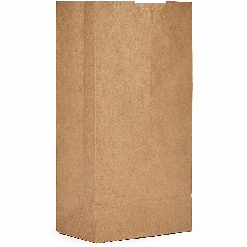AJM Packaging Packaging Packaging Paper Grocery Bags (GB04NP5C)