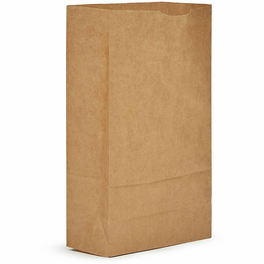 AJM Packaging Packaging Packaging AJM Packaging Packaging Paper Grocery Bags (GBN106G5CEH)