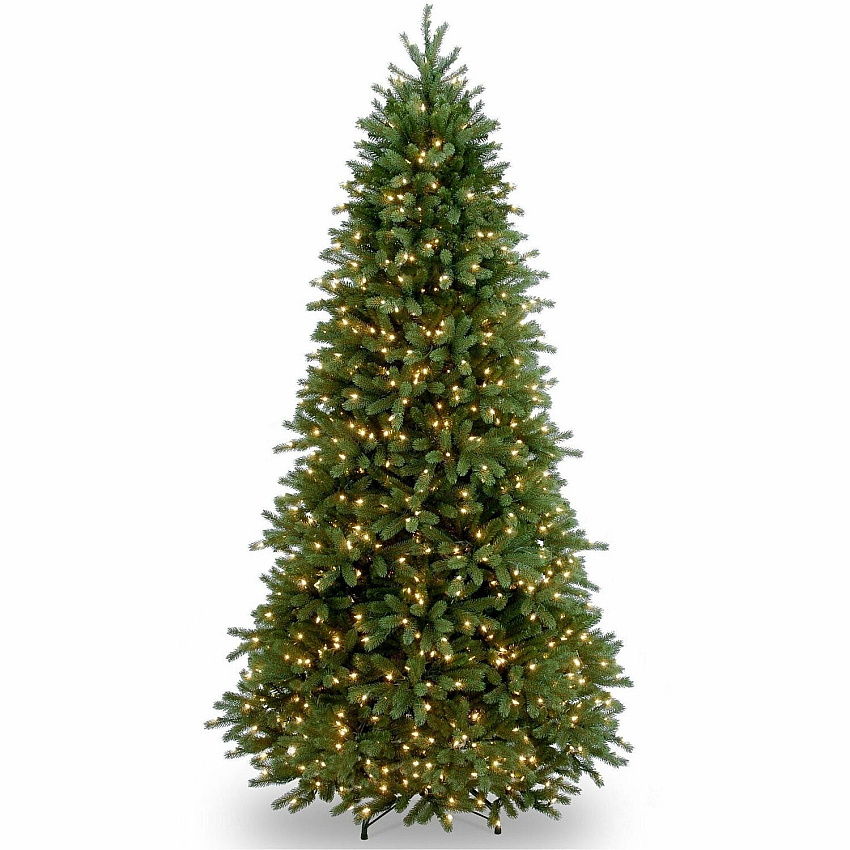 National Tree Company Company Company National Tree Company Company Jersey Fraser Fir Christmas Tree - Green (729083971624)