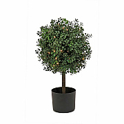 National Tree Company Company Company National Tree Company Company Boxwood Topiary Tree (729083527173)