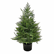 National Tree Company Company Company National Tree Company Company Cypress Topiary Tree (729083527258)