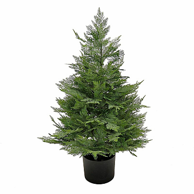 National Tree Company Company Company National Tree Company Company Cypress Topiary Tree (729083527258)