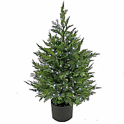 National Tree Company Company Company National Tree Company Company Cypress Topiary Tree (729083527333)