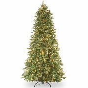 National Tree Company Company Company National Tree Company Company Tiffany Fir Christmas Tree - Green (729083853760)