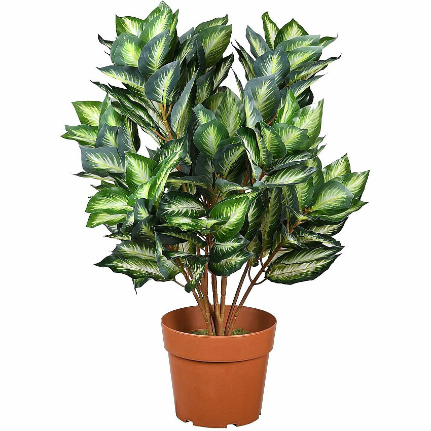 National Tree Company Company Company National Tree Company Company Hosta Topiary Plan (729083600357)