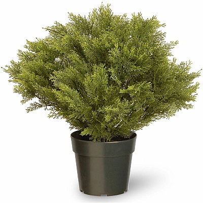 National Tree Company Company Company National Tree Company Company Globe Juniper Topiary Tree (729083602283)
