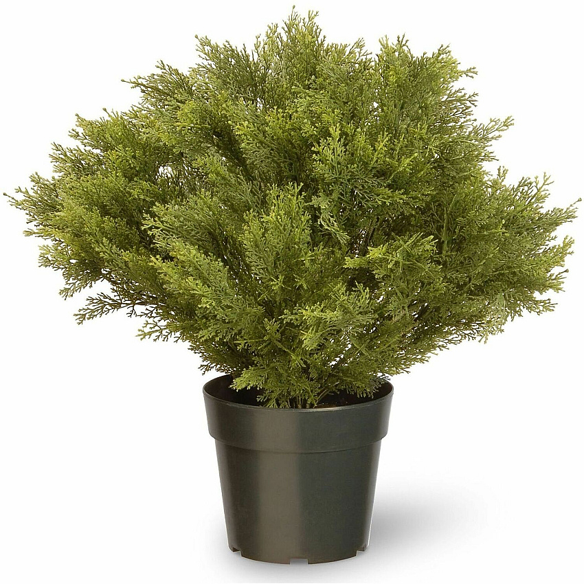 National Tree Company Company Company National Tree Company Company Globe Juniper Topiary Tree (729083602283)