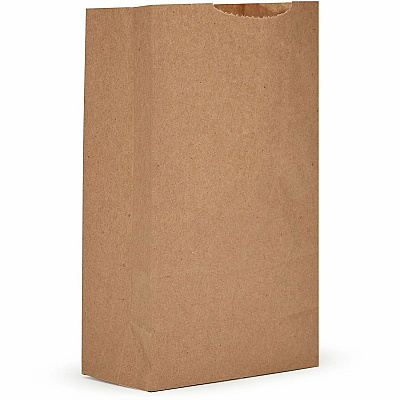 AJM Packaging Packaging Packaging AJM Packaging Packaging Paper Grocery Bags (GBN102G5CEH)