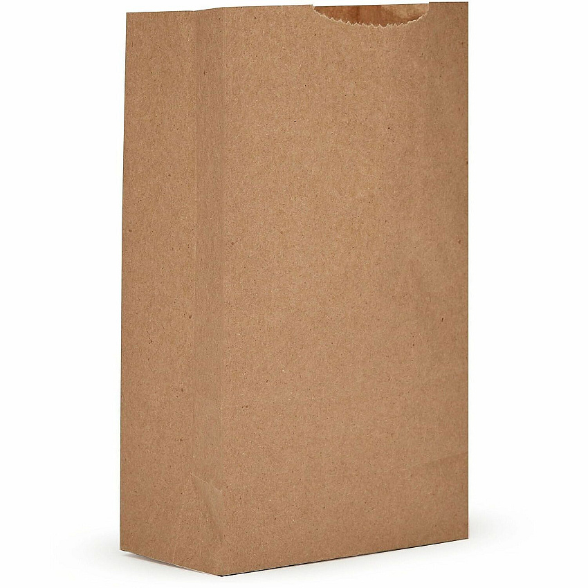 AJM Packaging Packaging Packaging AJM Packaging Packaging Paper Grocery Bags (GBN102G5CEH)