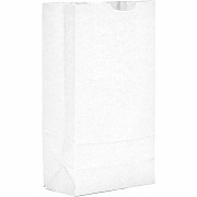 AJM Packaging Packaging Packaging AJM Packaging Packaging Paper Grocery Bags (WB10NP5C)