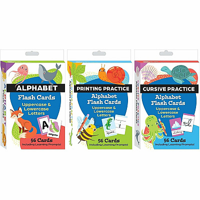 Shell Education Teacher Created Materials Literacy Skills Flash Cards Set (155911)