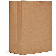 AJM Packaging Packaging Packaging AJM Packaging Packaging 1/8 BBL #57 Kraft Paper Grocery Sacks (SS57NP5CES)