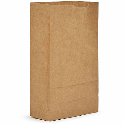 AJM Packaging Packaging Packaging AJM Packaging Packaging #6 Kraft Paper Grocery Bags (GB06NP5CES)