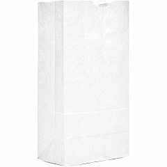 AJM Packaging Packaging Packaging AJM Packaging Packaging #16 White Paper Grocery Bags (WB16NP5CES)