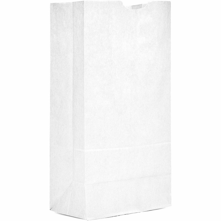 AJM Packaging Packaging Packaging AJM Packaging Packaging #16 White Paper Grocery Bags (WB16NP5CES)