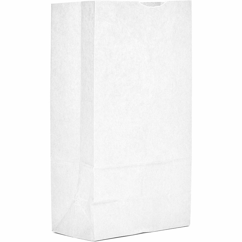 AJM Packaging Packaging Packaging AJM Packaging Packaging #12 White Paper Grocery Bags (WB12NP5CES)
