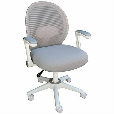 BOSS Grey Mesh, Flip Arm, Task Chair, White Frame (676WTGY)