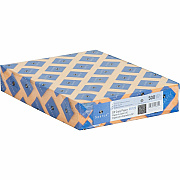 Sparco Premium Grade Pastel Color Copy Paper (05125CT)