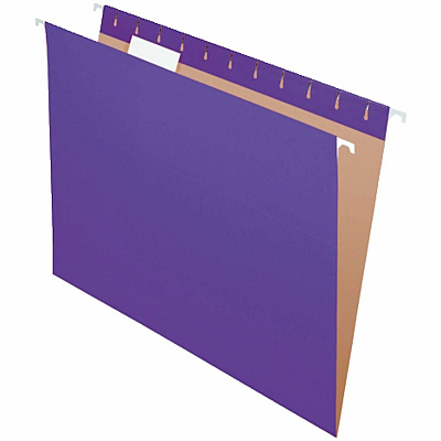 Business Source 1/5 Tab Cut Letter Hanging Folder (14120)