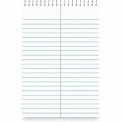 Business Source Green Tint Steno Notebook (96920)
