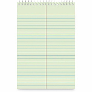 Business Source Green Tint Steno Notebook (26743)
