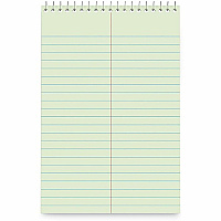 Business Source Green Tint Steno Notebook (26743)