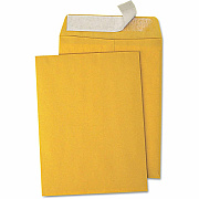 Business Source Kraft Peel-and-Stick Catalog Envelopes (40102)