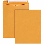 Business Source Kraft Peel-and-Stick Catalog Envelopes (40099)