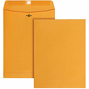 Business Source Self-Seal Catalog Envelopes (35269)