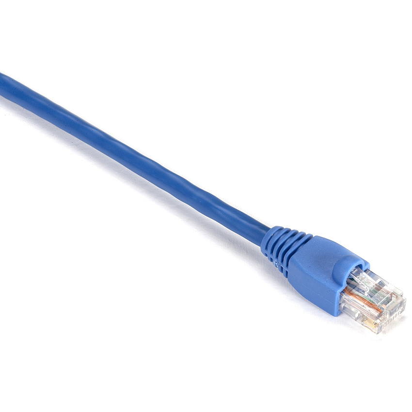 Black Box Cat5e 350-mhz Snagless Stranded Ethernet Patch Cable - Unshielded (utp), Cm Pvc (rj45 M/m), Blue, 1-ft. (0.3-m) (EVNSL810001)